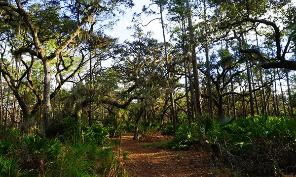 Buster Island Loop Incredible attractions