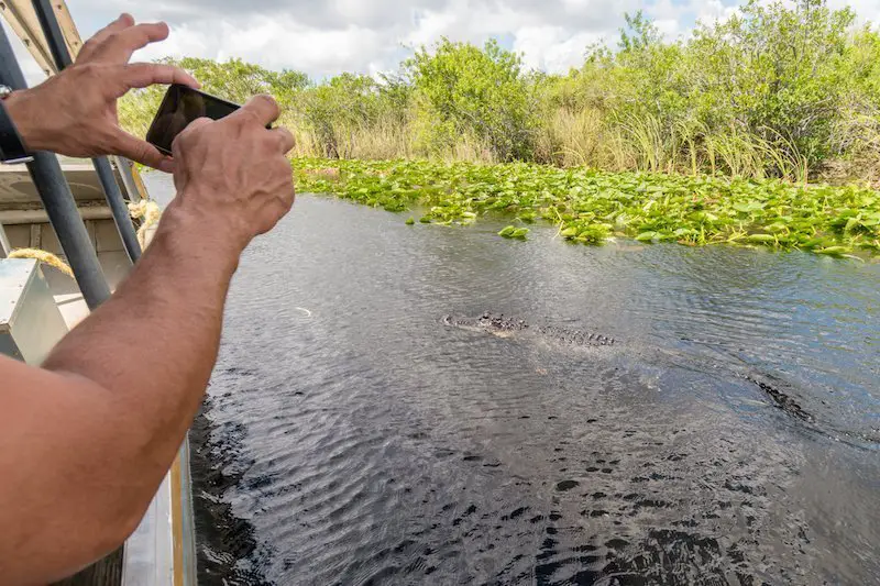 man taking a picture of a gator from an airboat in central florida