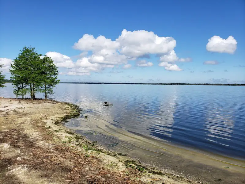 Airboat Rides Near Daytona Beach