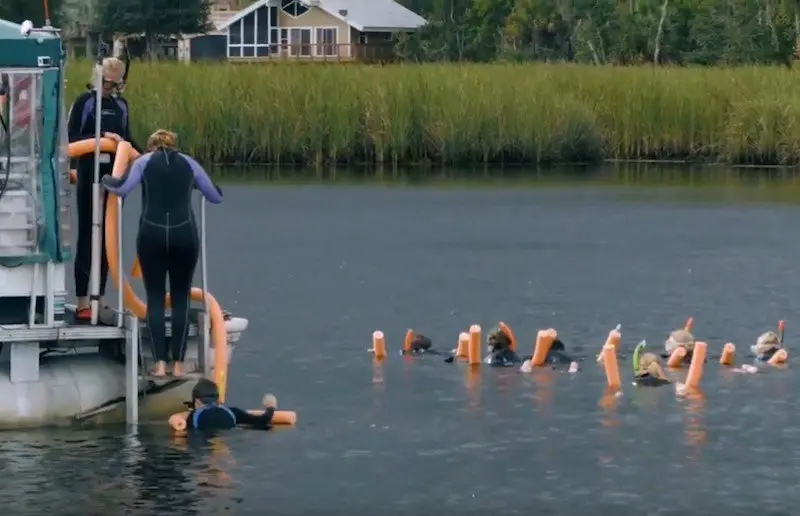 central florida manatee tours