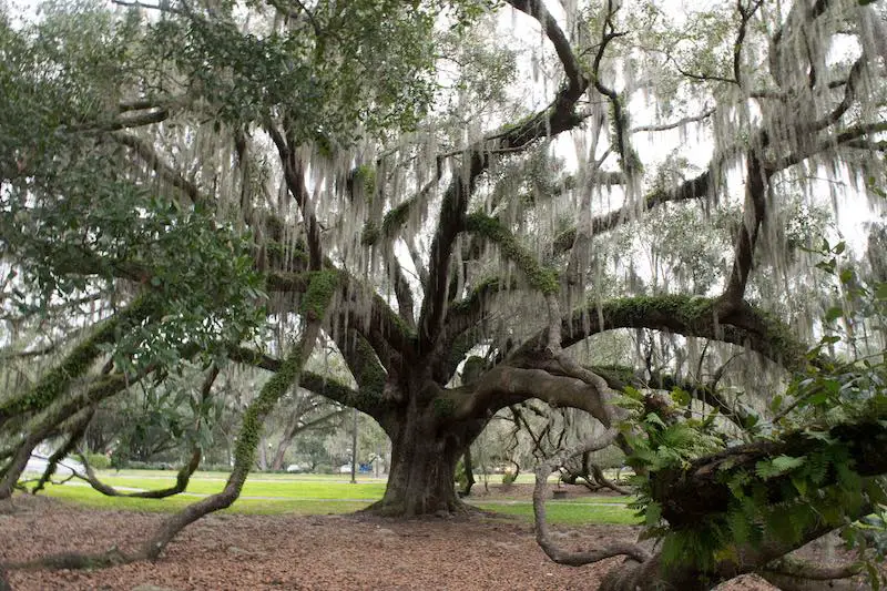 Loch Haven Park