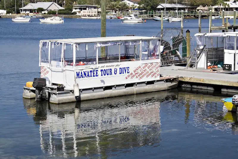 Manatee tour pontoon boat in Central Florida