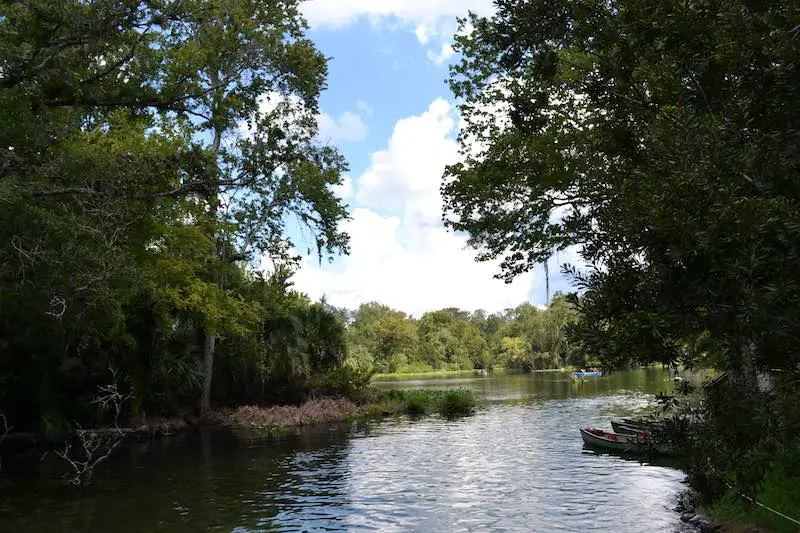 Wekiwa Springs State Park Orlando Attractions For Adults