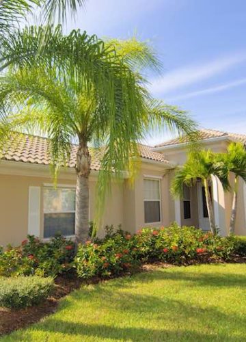 Beautiful Florida home with green grass and palm trees on a sunny day