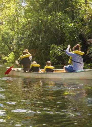 Family Of Four Canoing On A River in Central Florida