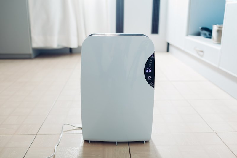 use a dehumidifier