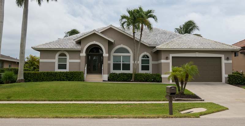 Palm trees grow smoothly in sandy soil where the climate is humid.