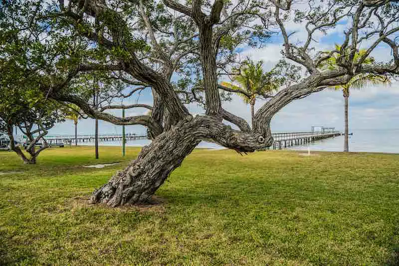 Family-friendly Orlando Bike Trails