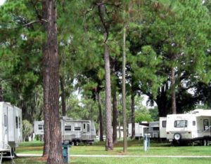 Camping trailers parked under trees at the Winter Garden RV resort