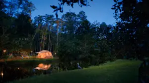 At dusk, tent lit up from the inside, set beside the water at Disney's Fort Wilderness