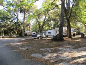Trailers parked in the shade of tall trees at St. John's River Campground
