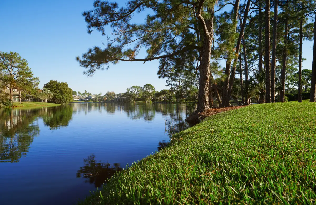 florida lake